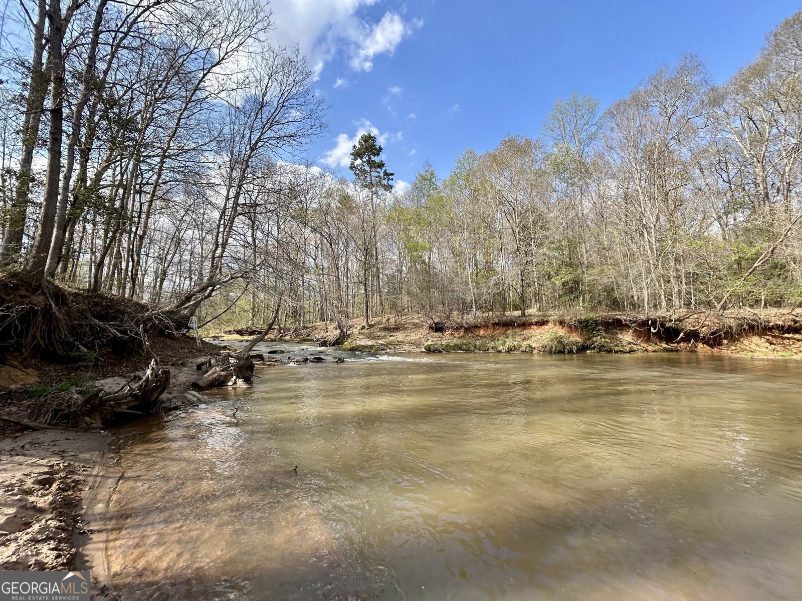 631 Jim Grizzle Road Royston - Photo 11