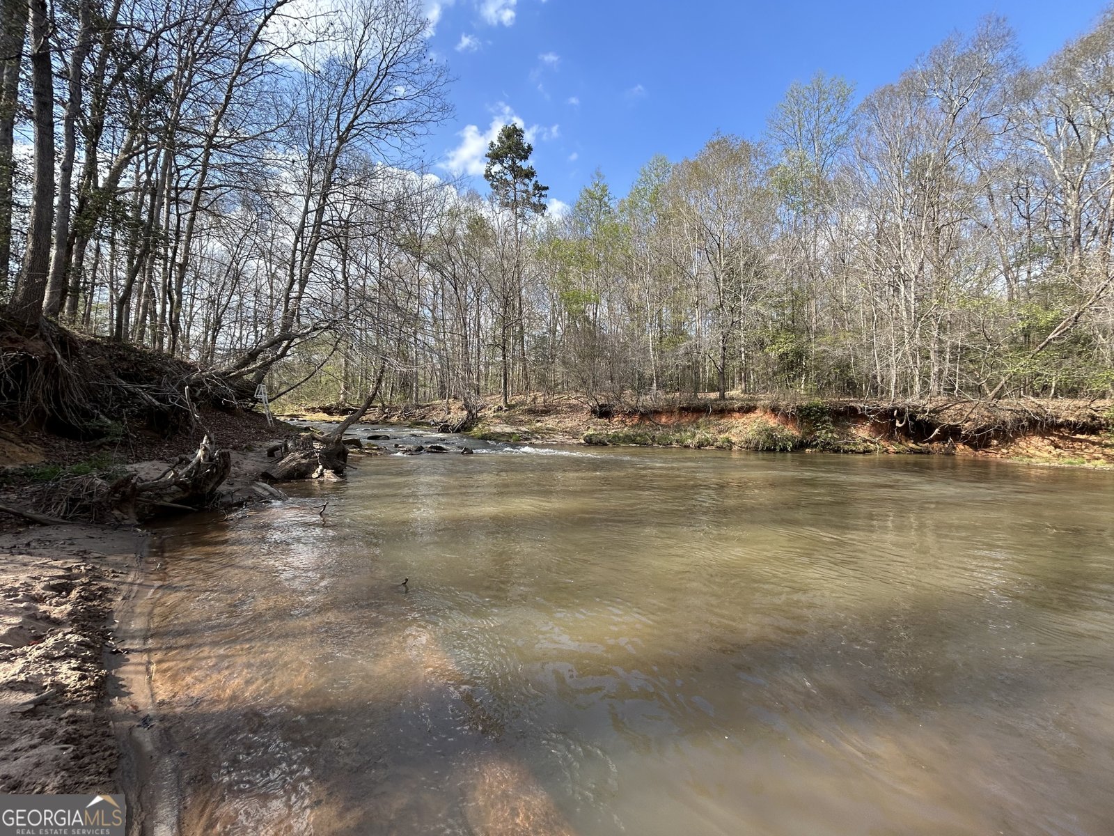 631 Jim Grizzle Road Royston - Photo 12