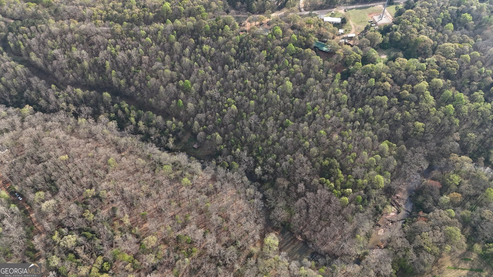 631 Jim Grizzle Road Royston - Photo 18