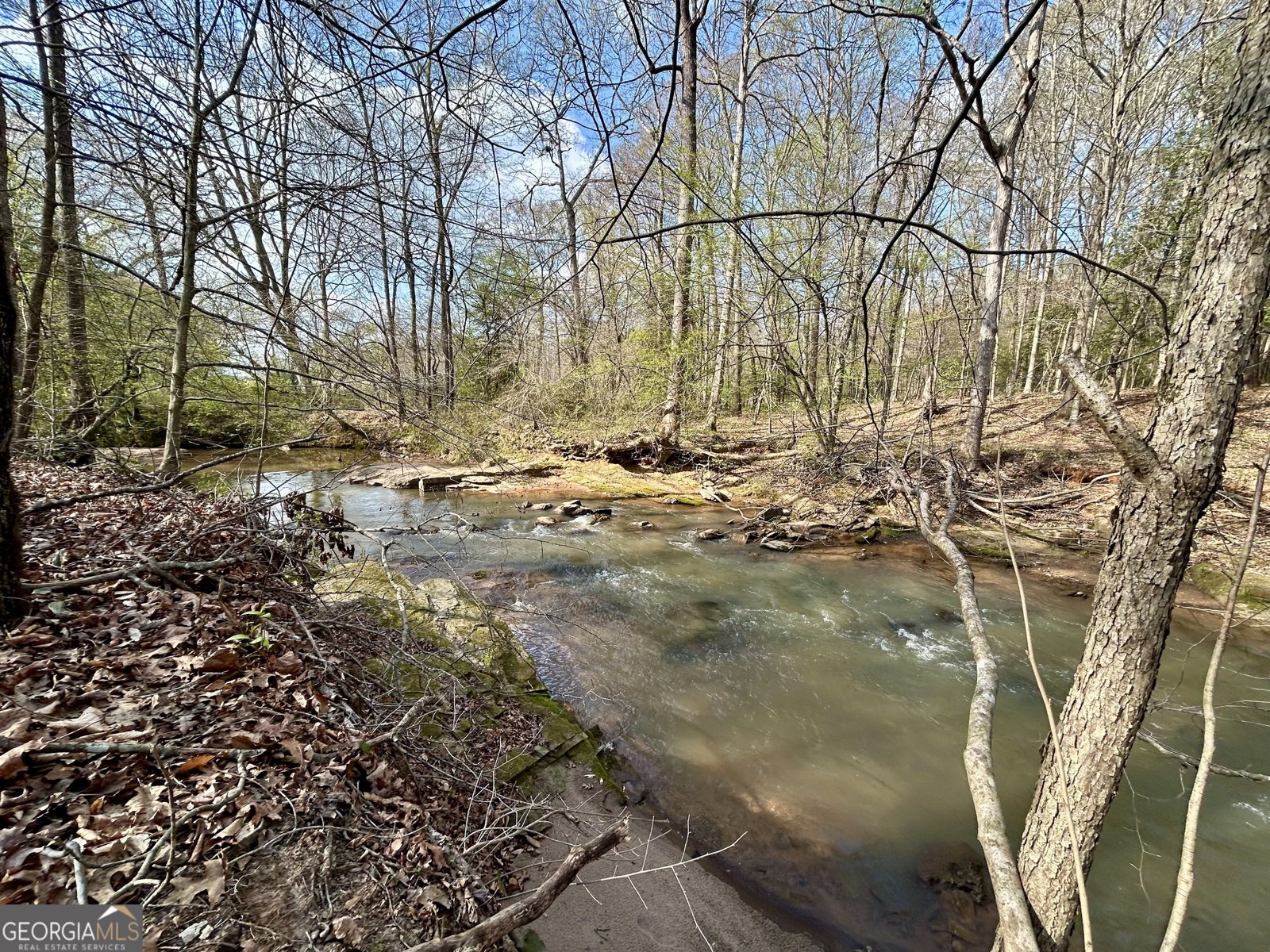 631 Jim Grizzle Road Royston - Photo 6