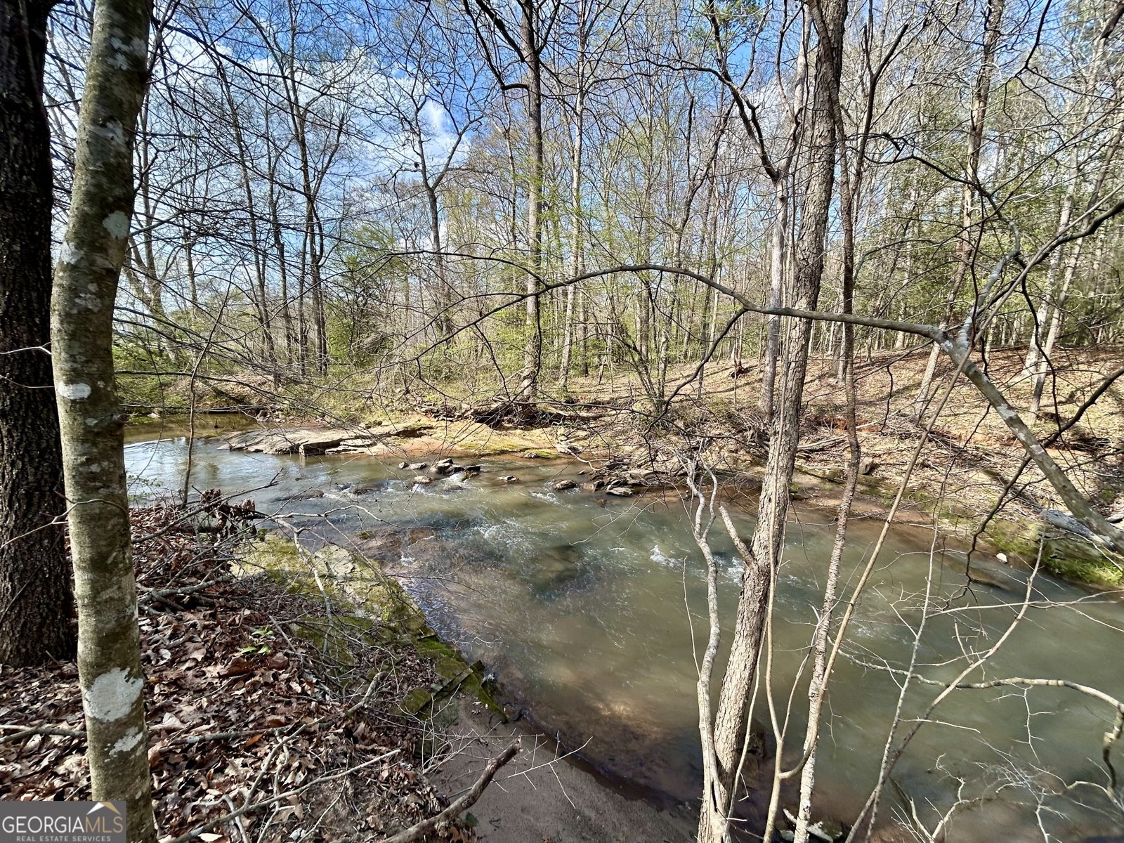 631 Jim Grizzle Road Royston - Photo 7