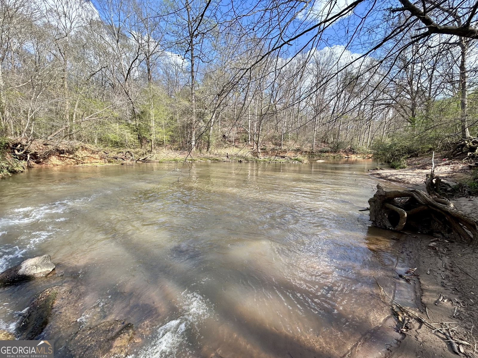 631 Jim Grizzle Road Royston - Photo 8