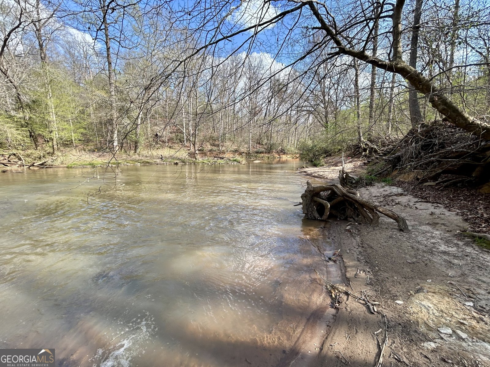 631 Jim Grizzle Road Royston - Photo 9