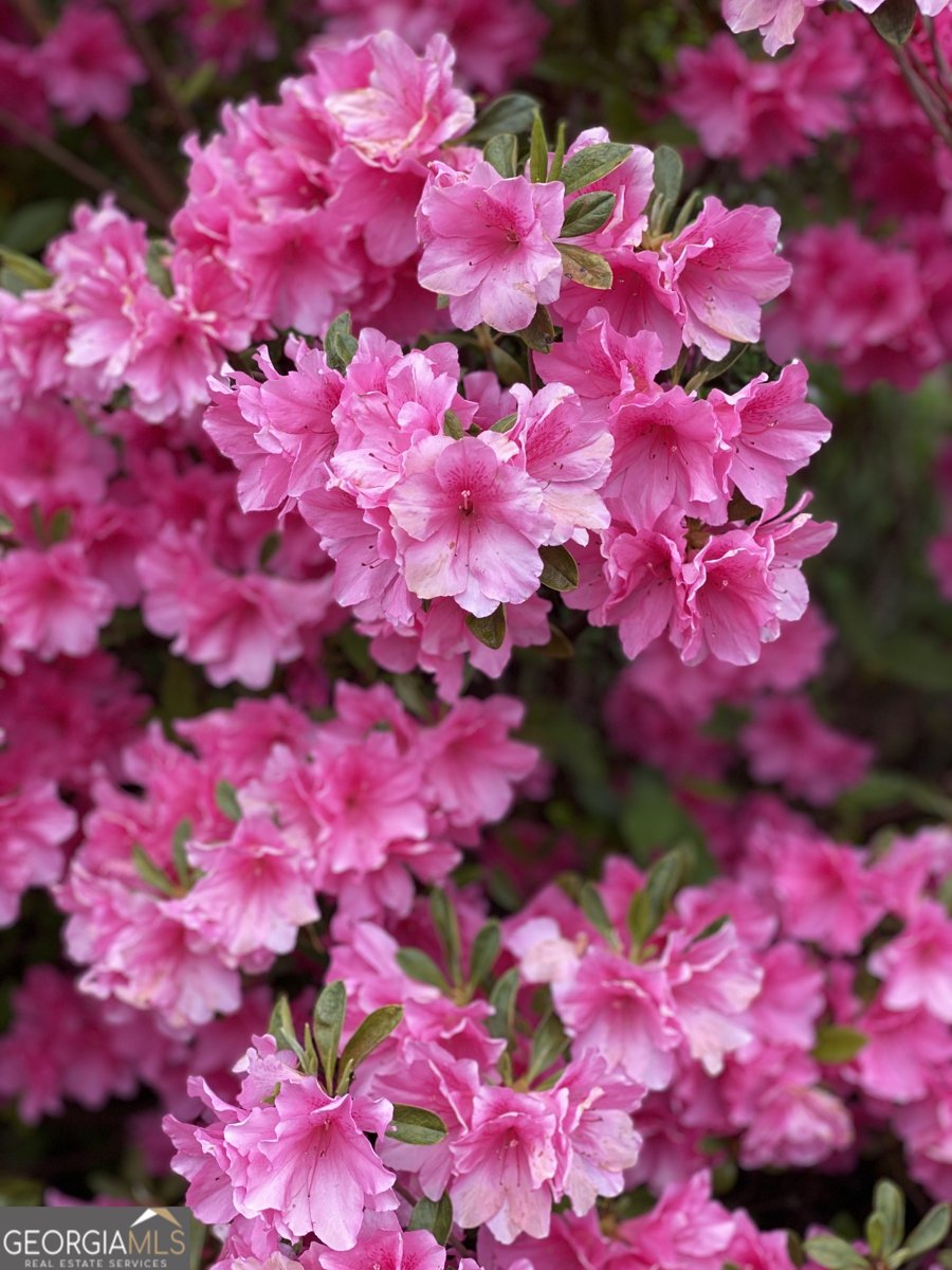 3420 Chattahoochee Road Cumming - Photo 59