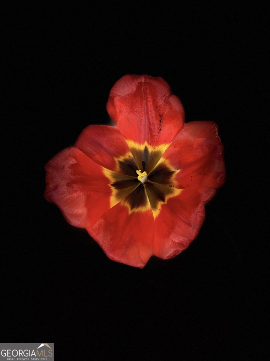 3420 Chattahoochee Road Cumming - Photo 60