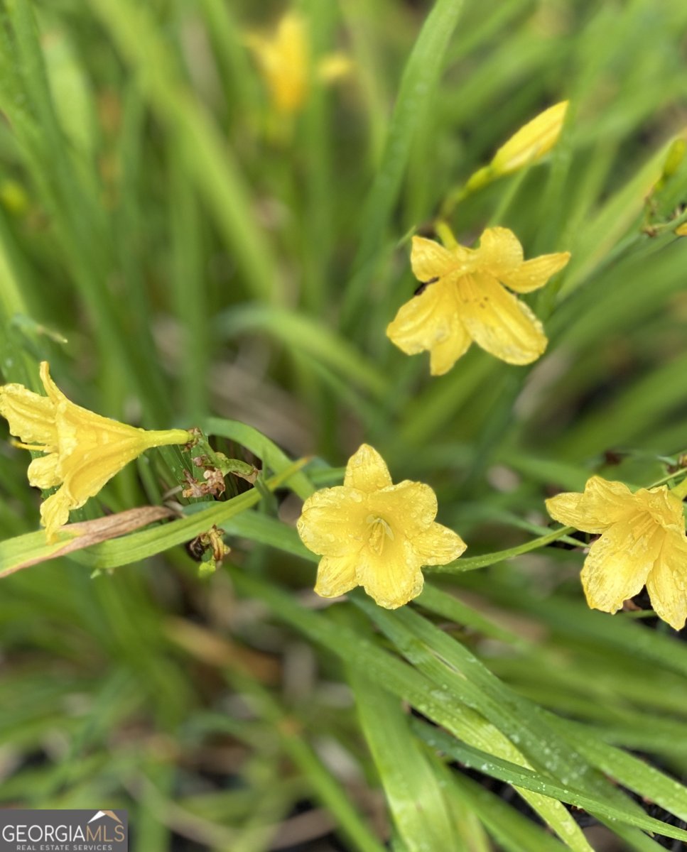 3420 Chattahoochee Road Cumming - Photo 61