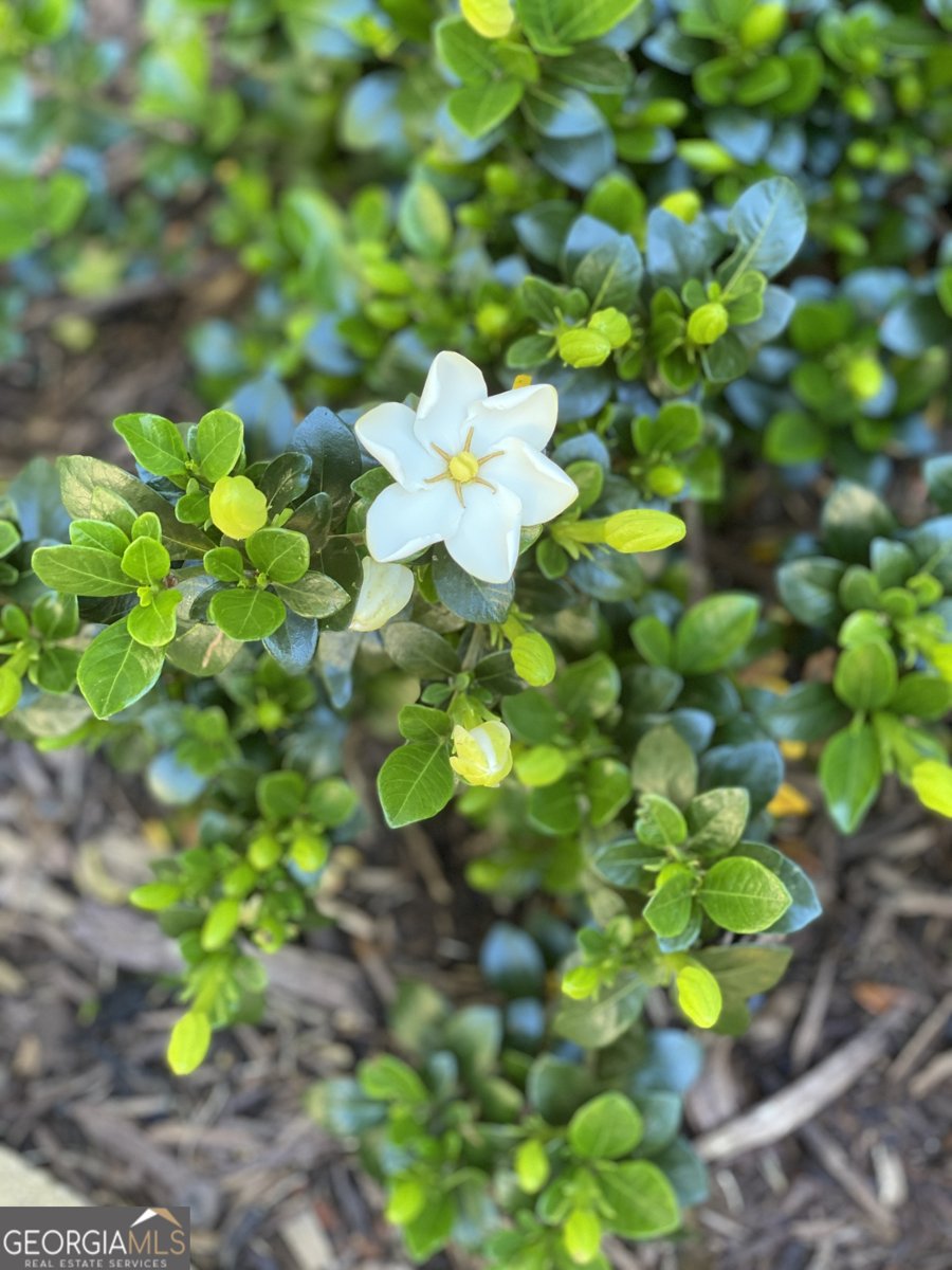 3420 Chattahoochee Road Cumming - Photo 62