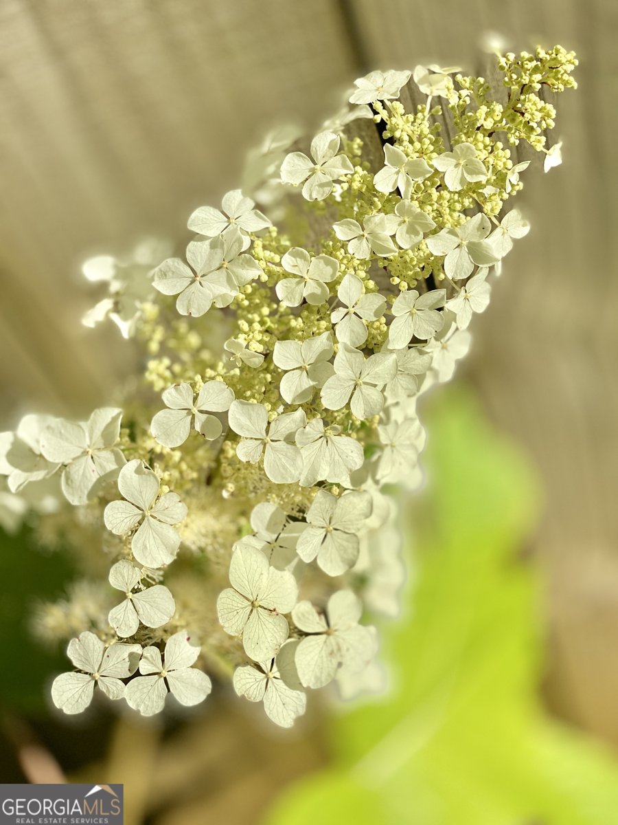 3420 Chattahoochee Road Cumming - Photo 63