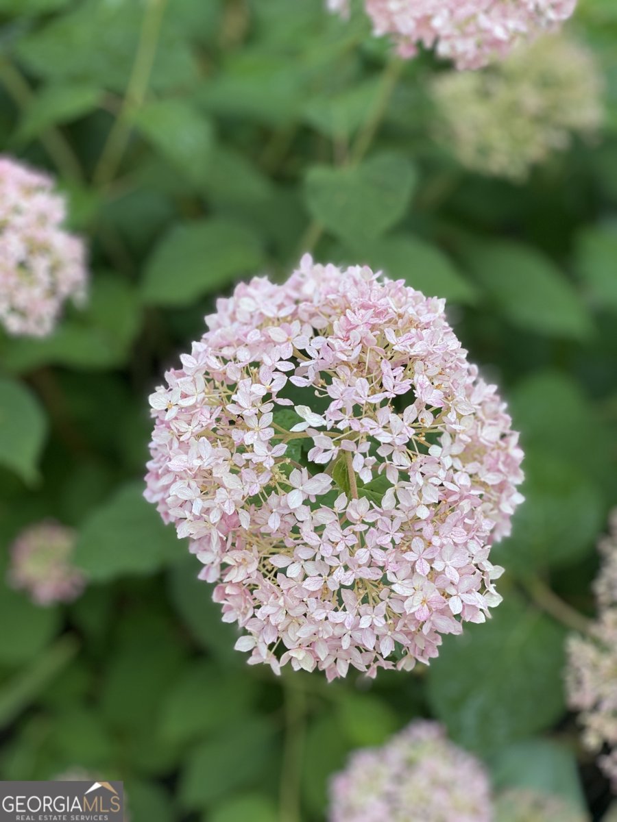 3420 Chattahoochee Road Cumming - Photo 64