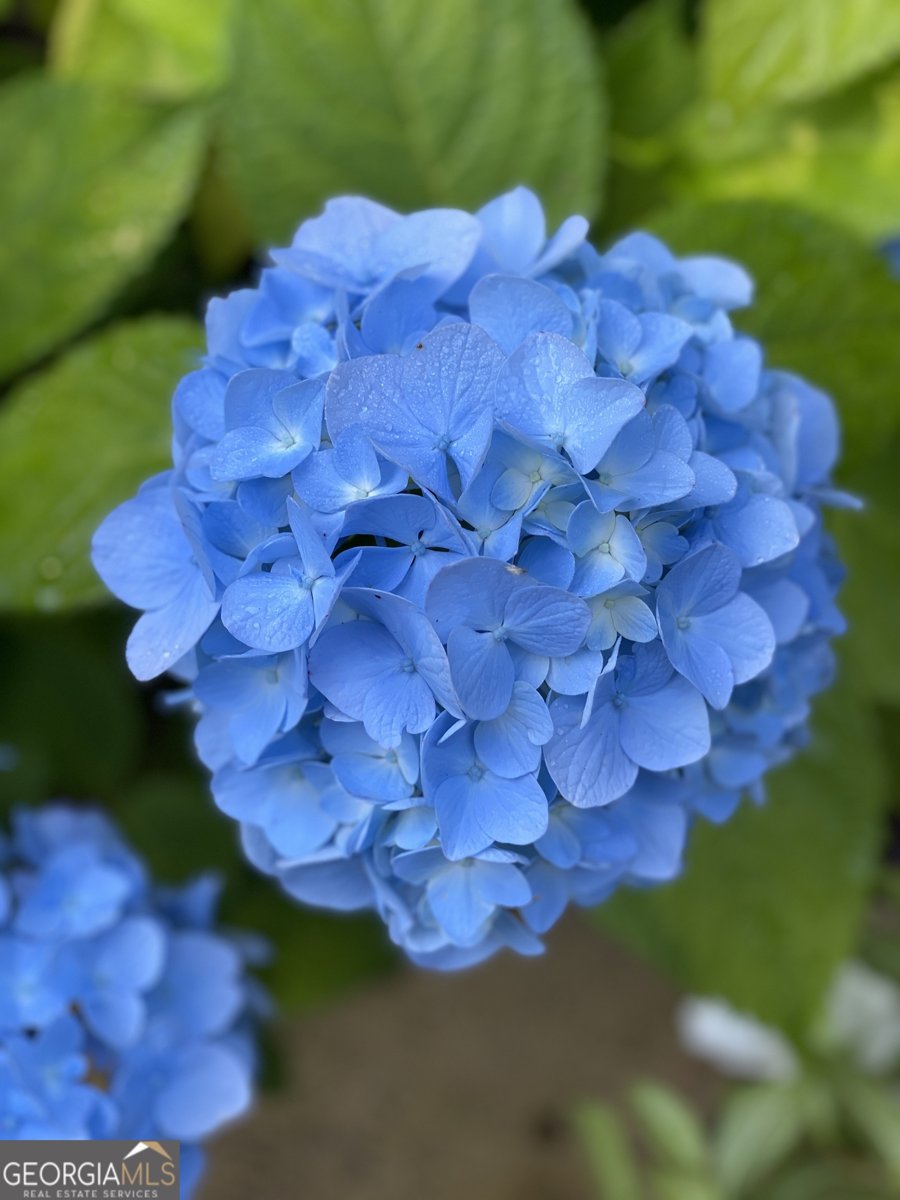 3420 Chattahoochee Road Cumming - Photo 65