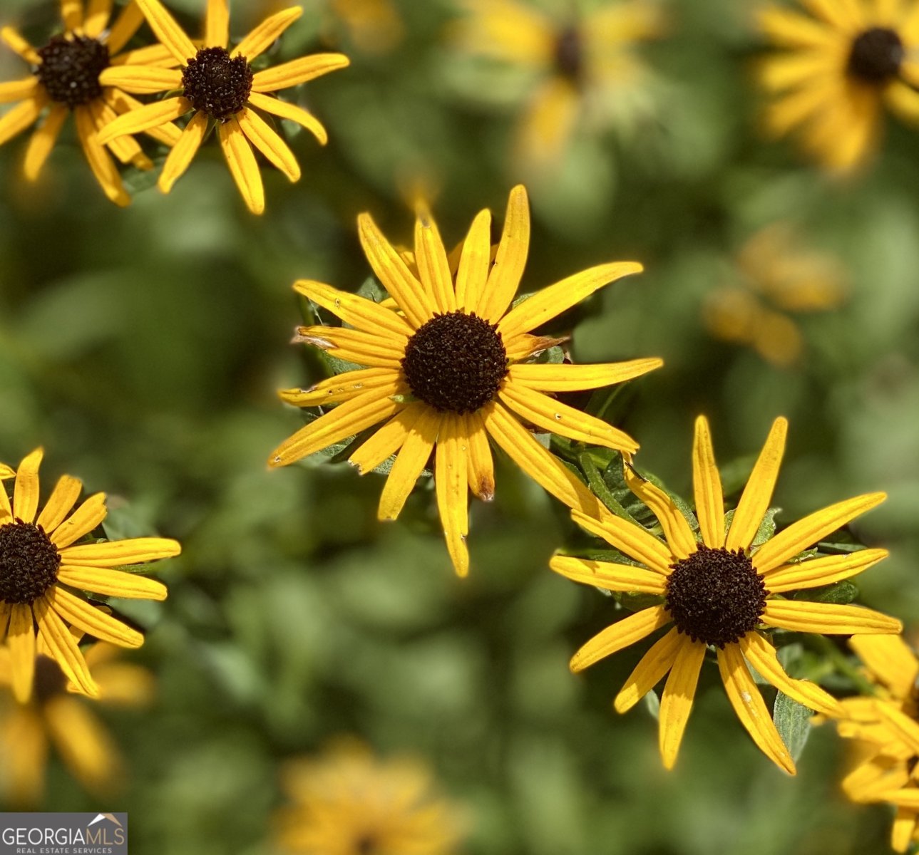 3420 Chattahoochee Road Cumming - Photo 66