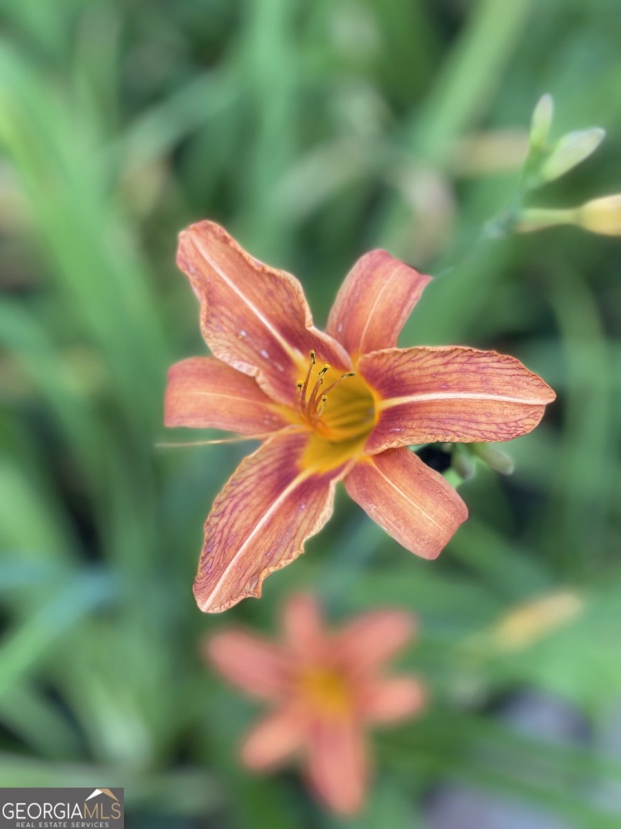 3420 Chattahoochee Road Cumming - Photo 67