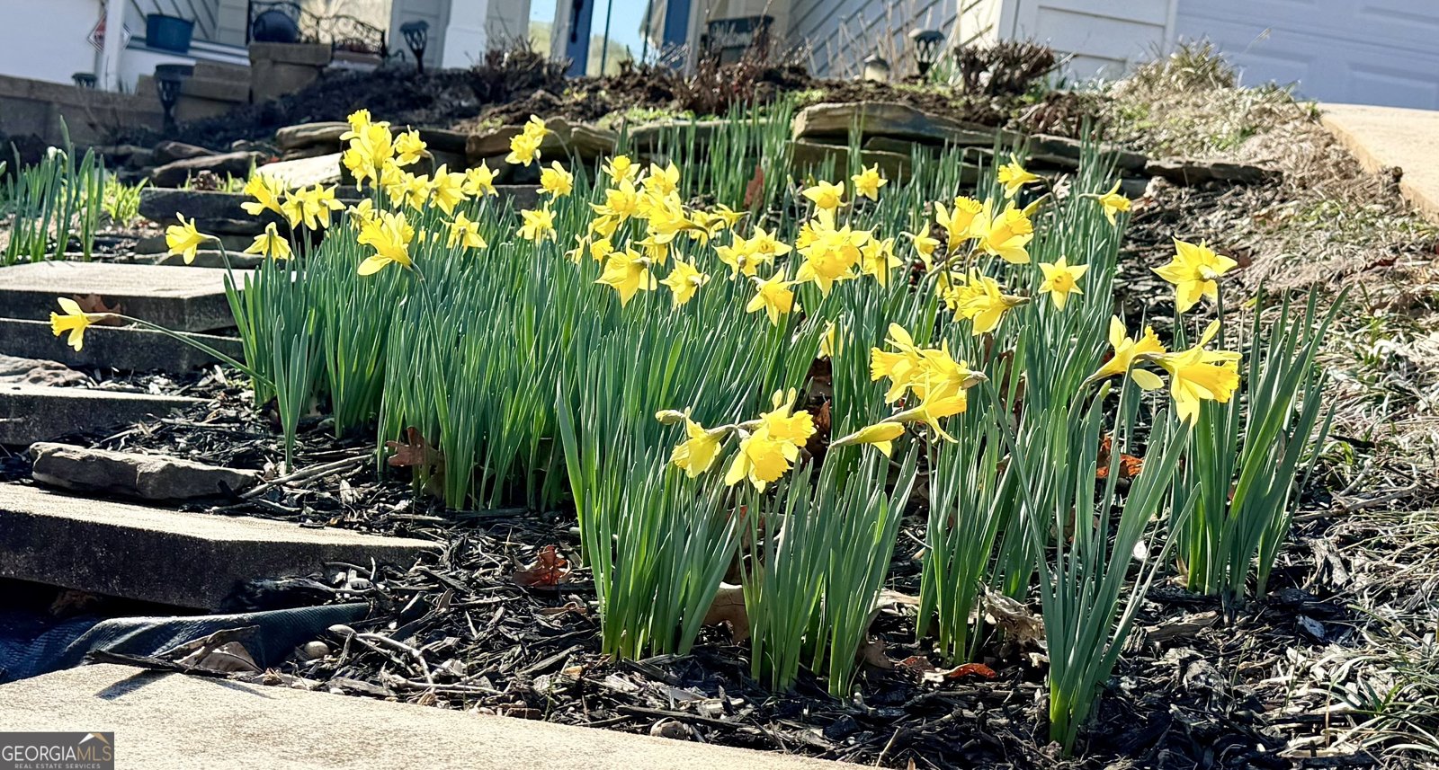 3420 Chattahoochee Road Cumming - Photo 69