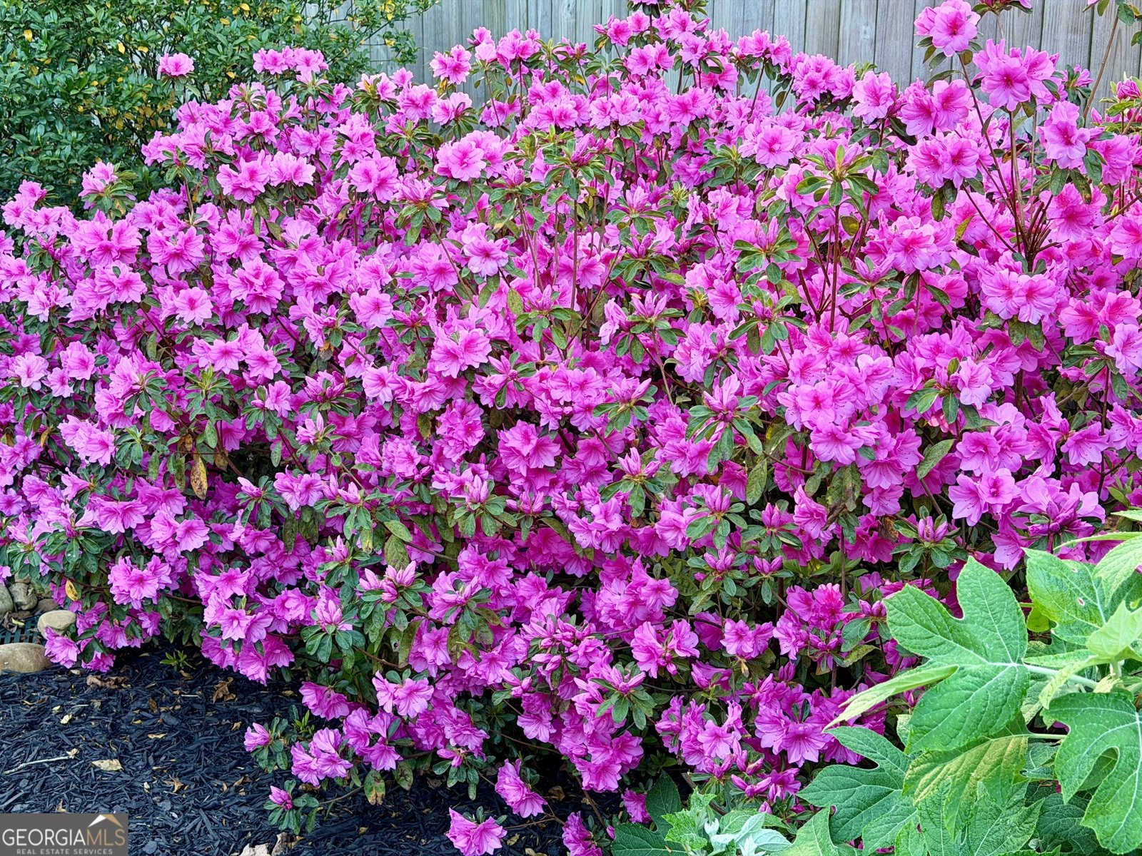 3420 Chattahoochee Road Cumming - Photo 71