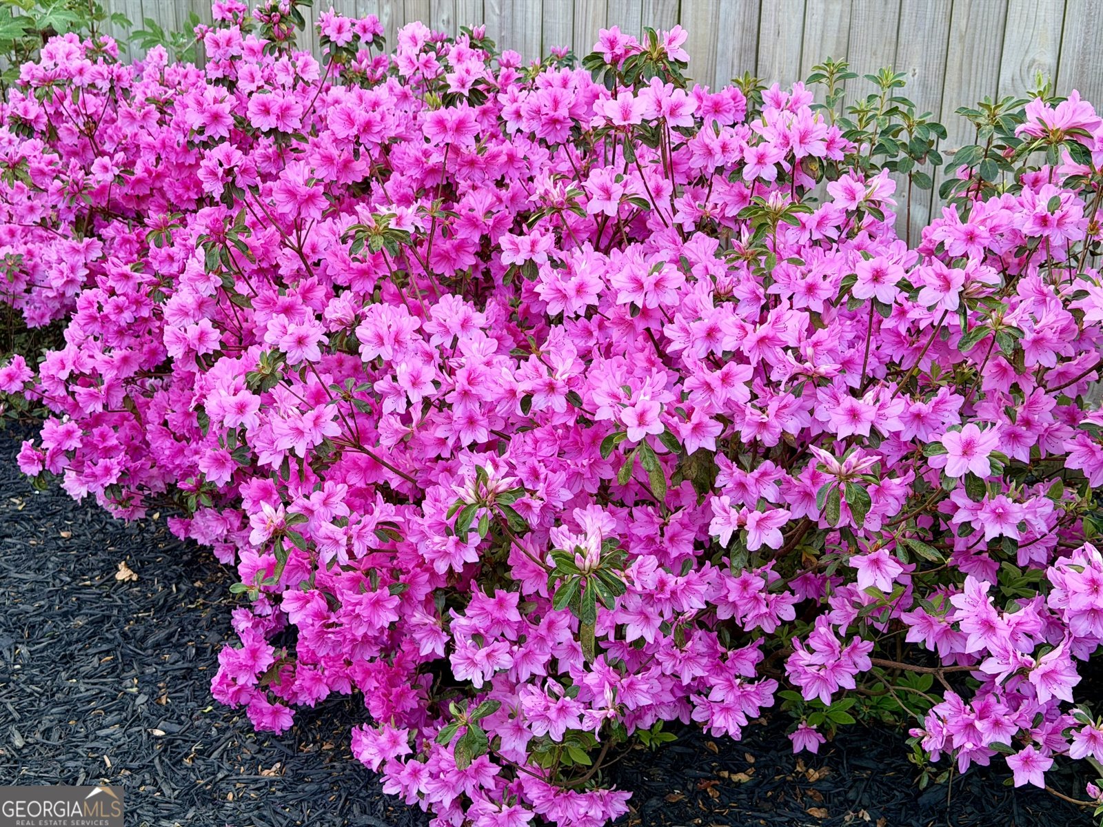 3420 Chattahoochee Road Cumming - Photo 73