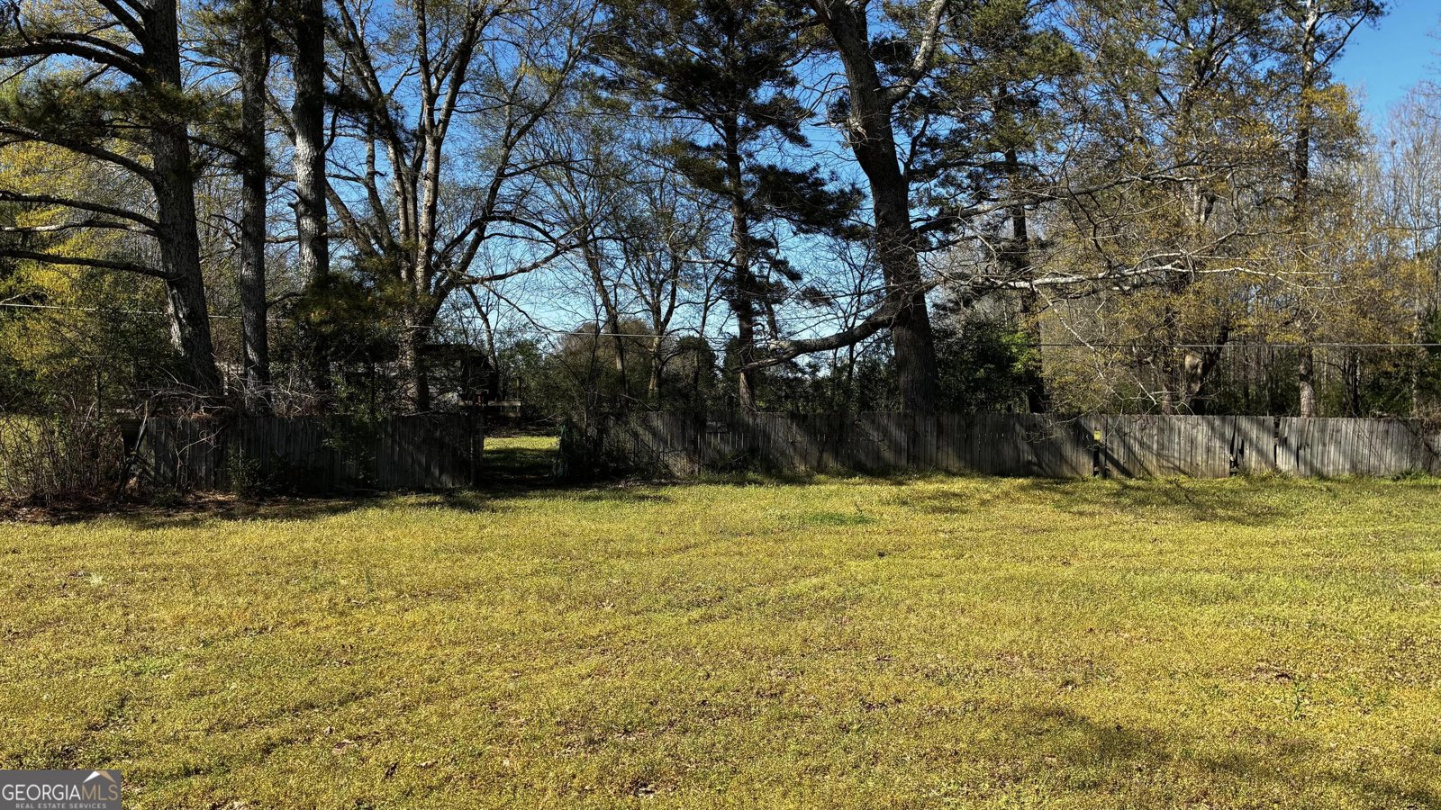 358 Fite Bend Road Resaca - Photo 12