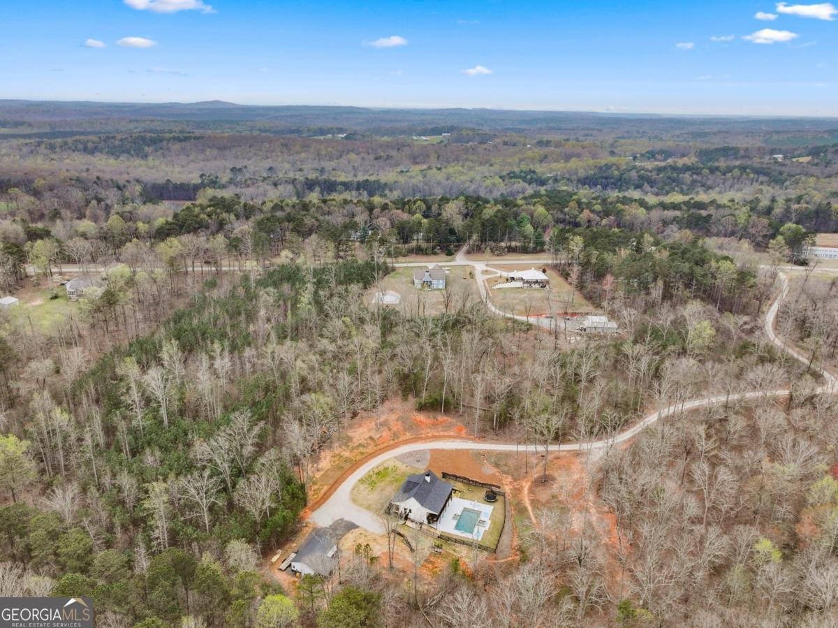 211 Cowart Road Dawsonville - Photo 88