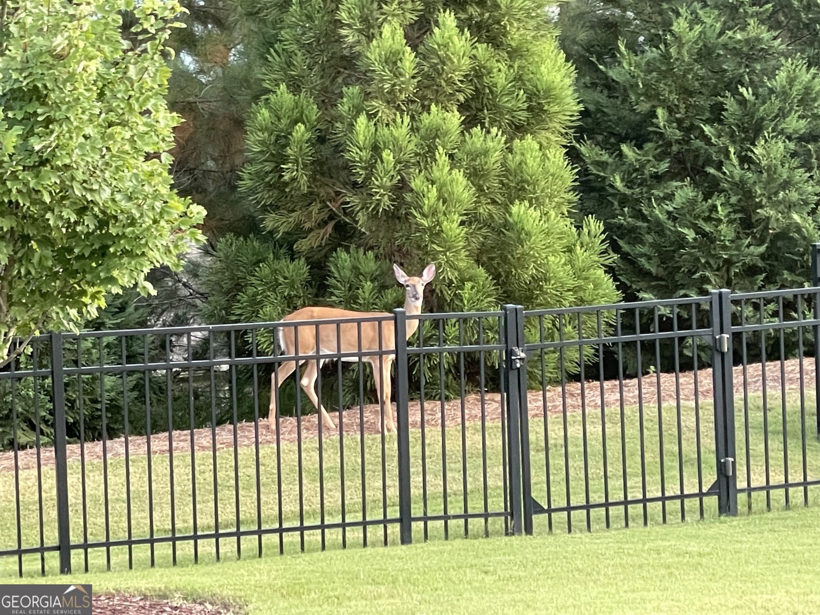 522 Cottonwood Circle Peachtree City - Photo 43