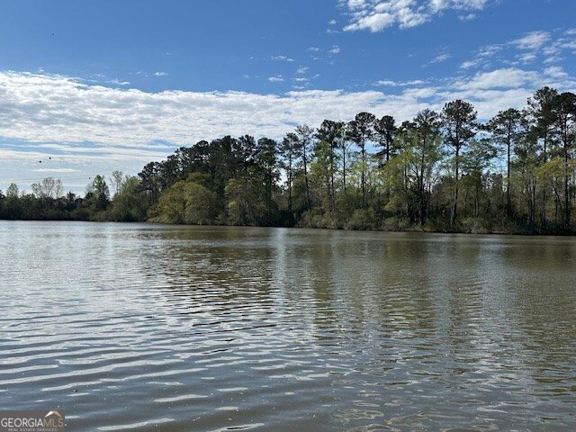 221 Landing Lane Milledgeville - Photo 22