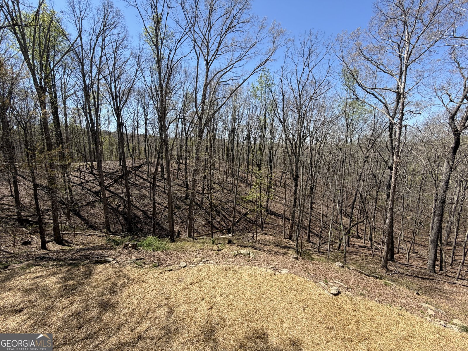 267 McClure Drive Dallas - Photo 47