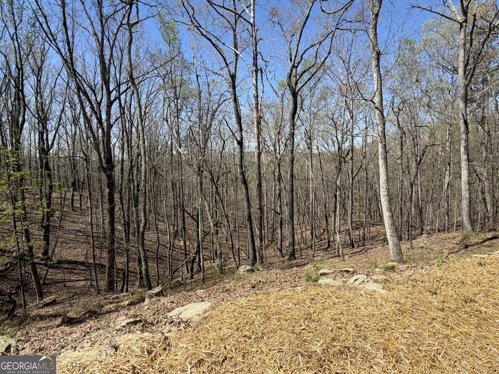 267 McClure Drive Dallas - Photo 48