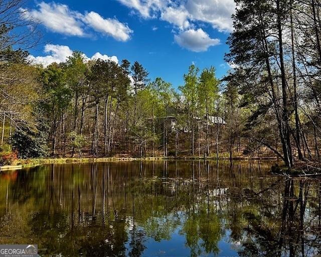 12555 Celestine Way Roswell - Photo 51