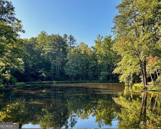 12555 Celestine Way Roswell - Photo 52