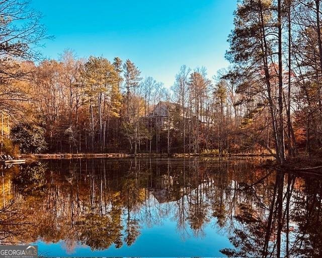 12555 Celestine Way Roswell - Photo 53