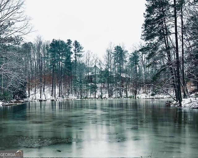 12555 Celestine Way Roswell - Photo 54