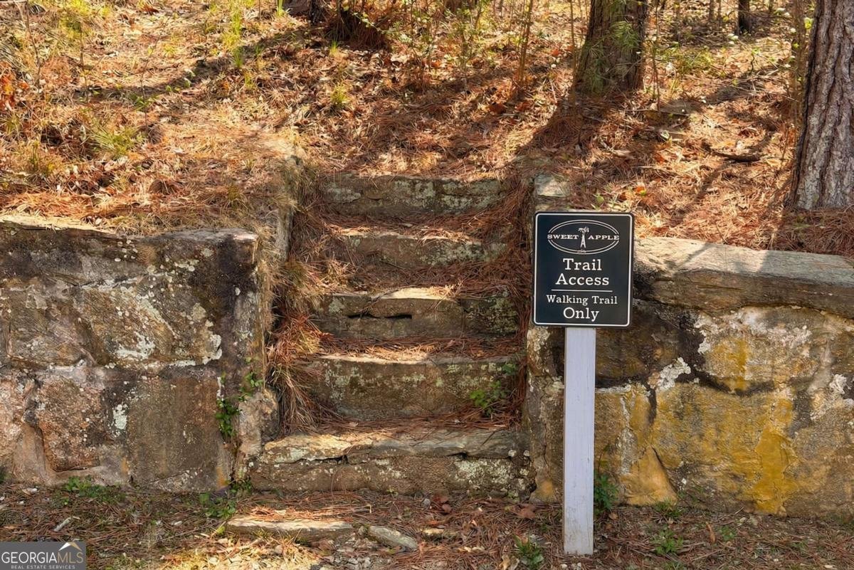 12555 Celestine Way Roswell - Photo 56