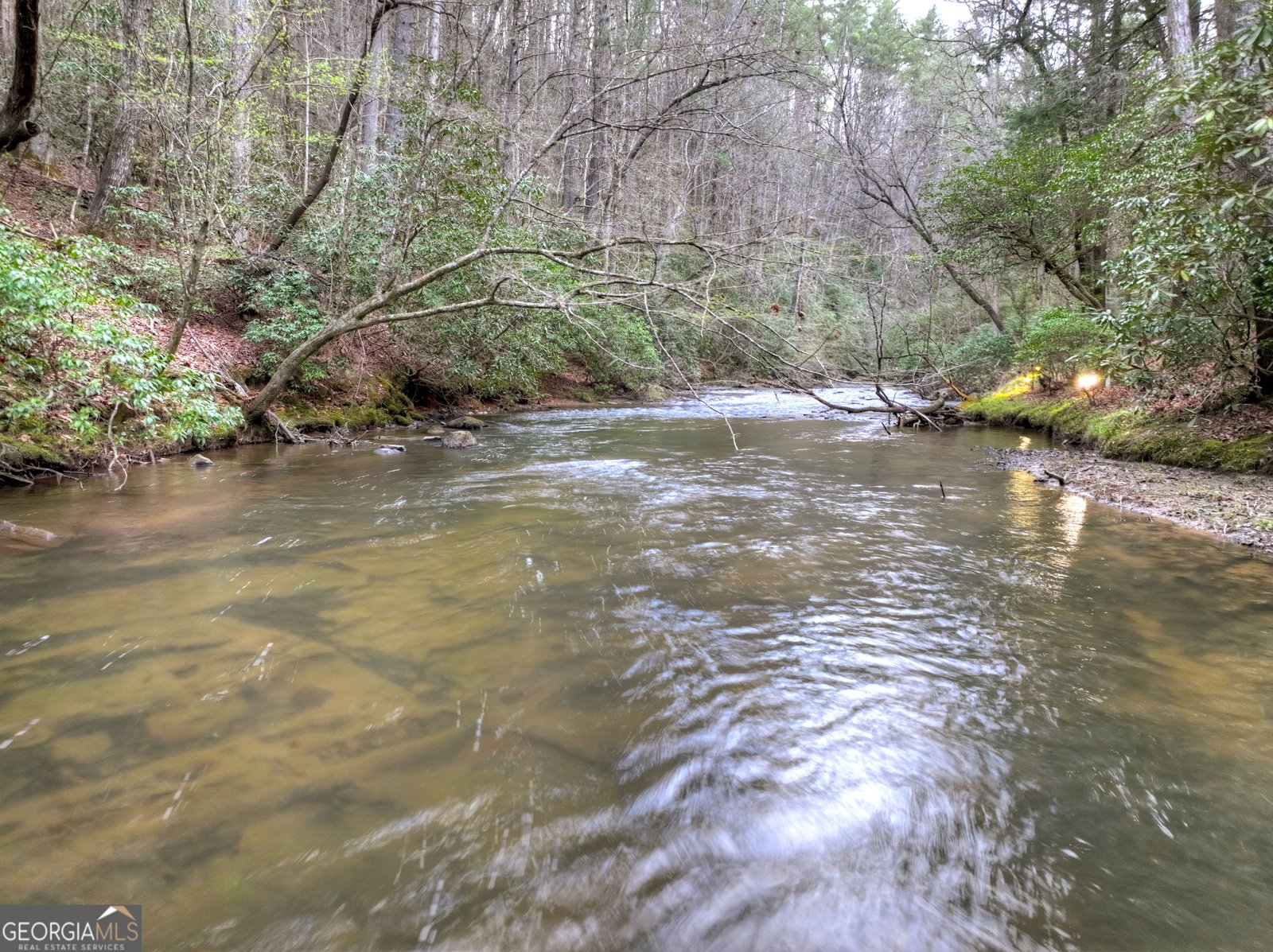 266 River Road Cherry Log - Photo 45