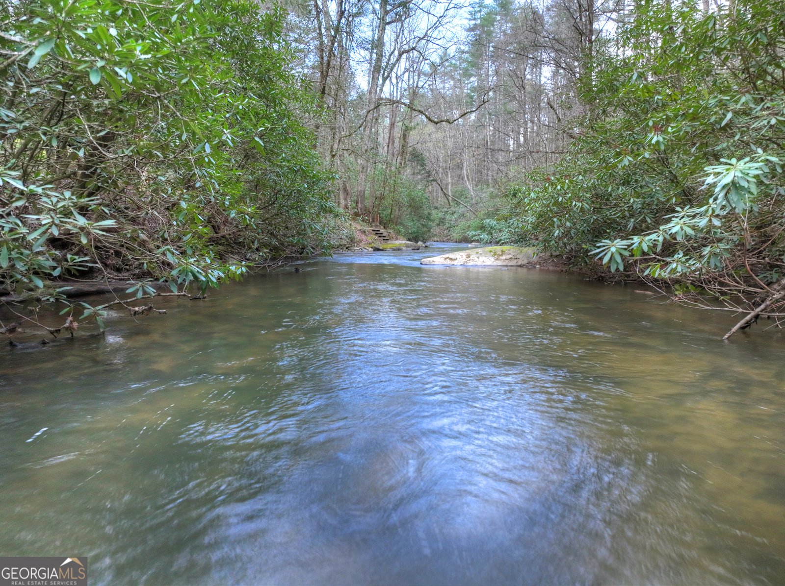 266 River Road Cherry Log - Photo 46