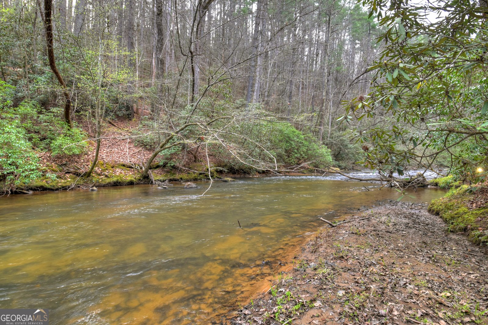 266 River Road Cherry Log - Photo 50
