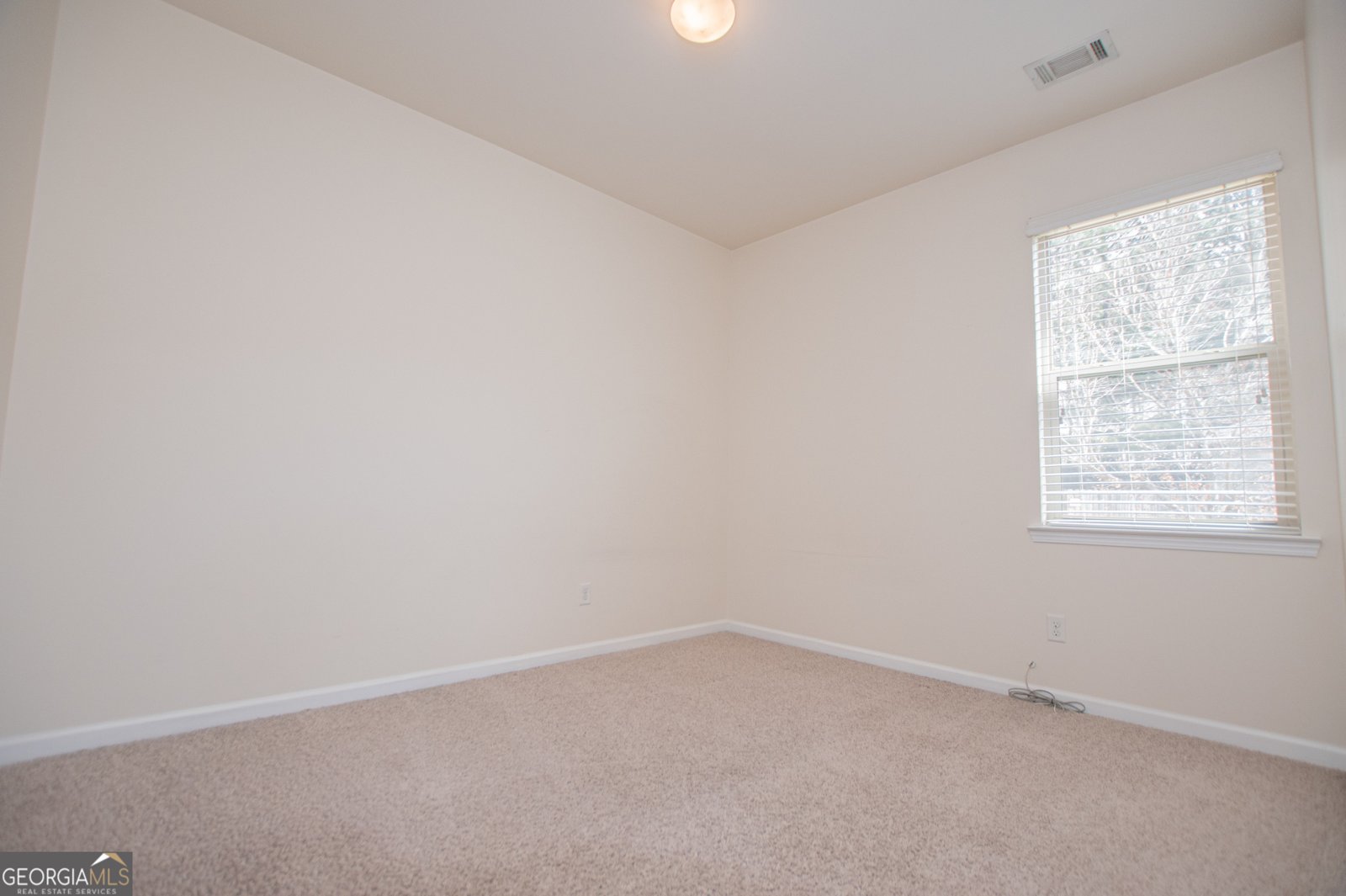 240 River Meadow Drive Lagrange - Photo 33