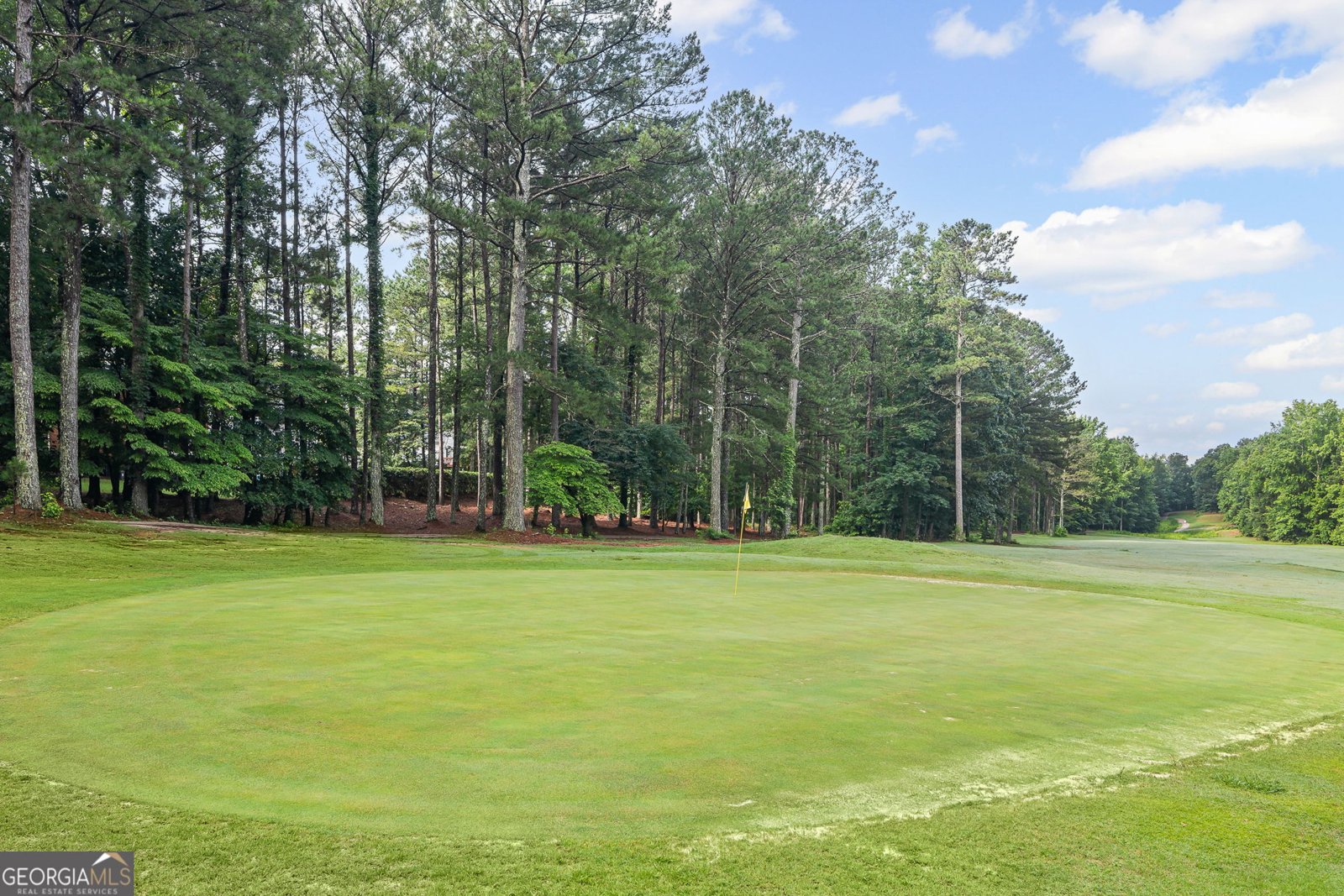 40 Fernbank Way Newnan - Photo 77