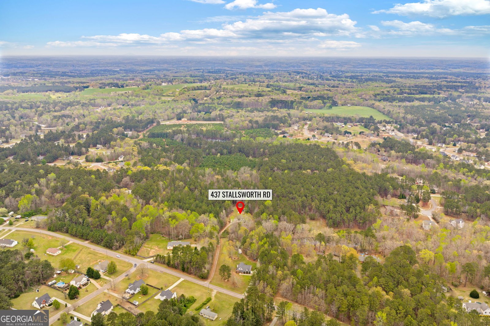 437 Stallsworth Road McDonough - Photo 52