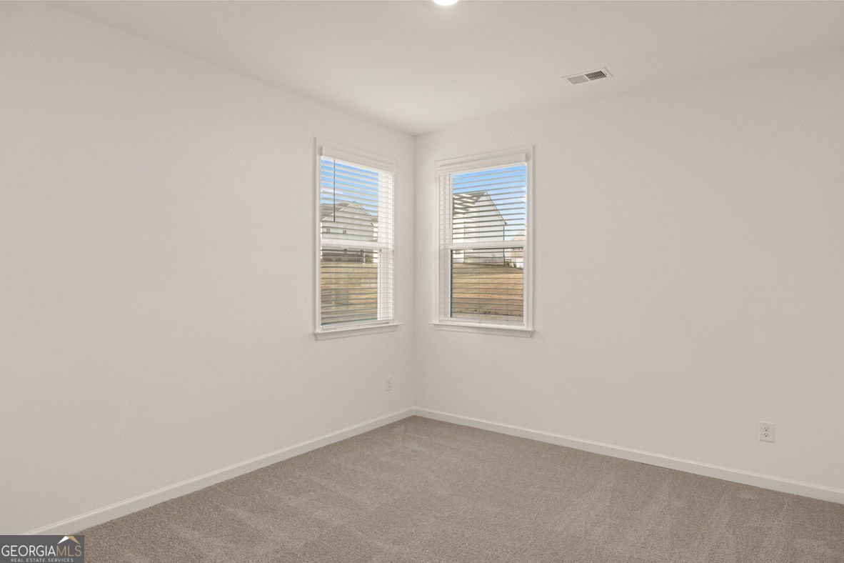 2897 Eucalyptus Road Loganville - Photo 27