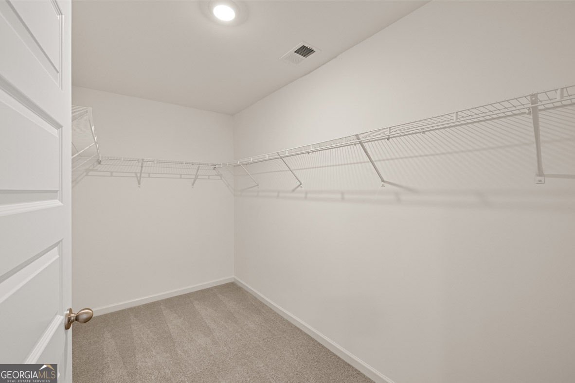 2897 Eucalyptus Road Loganville - Photo 39