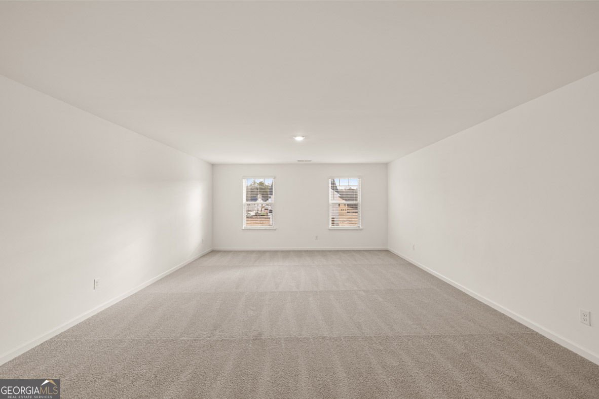 2897 Eucalyptus Road Loganville - Photo 41