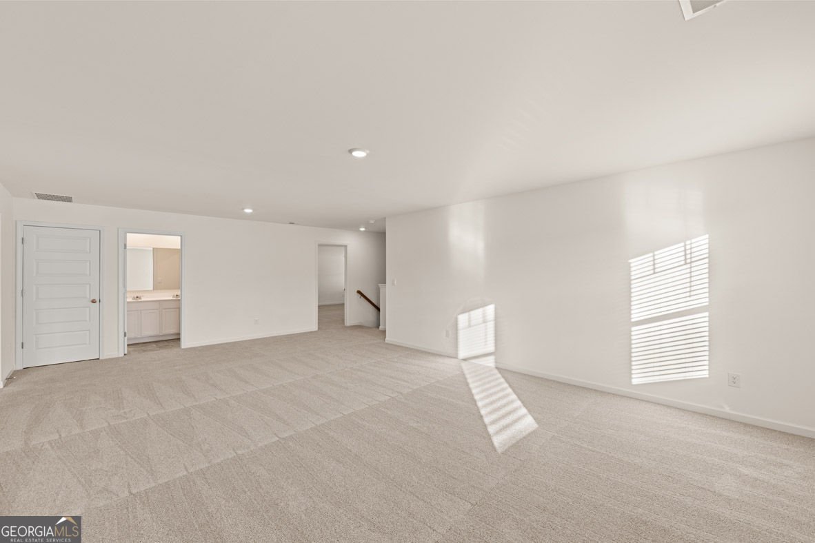 2897 Eucalyptus Road Loganville - Photo 43