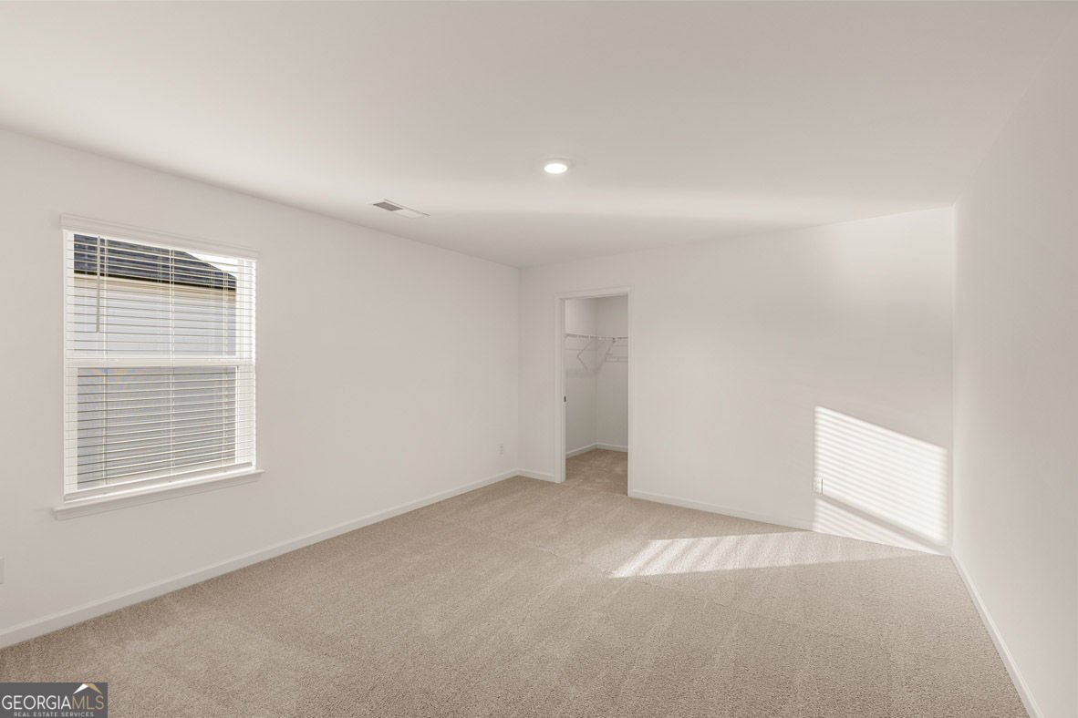 2897 Eucalyptus Road Loganville - Photo 46