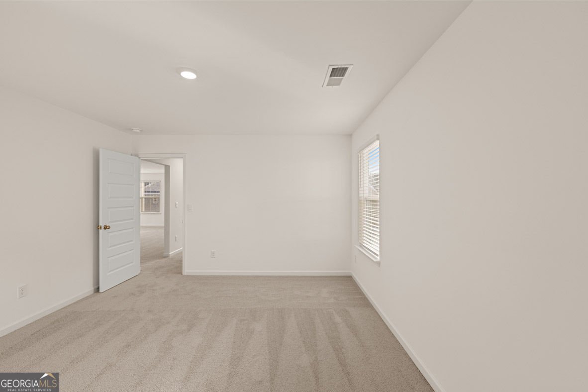 2897 Eucalyptus Road Loganville - Photo 47