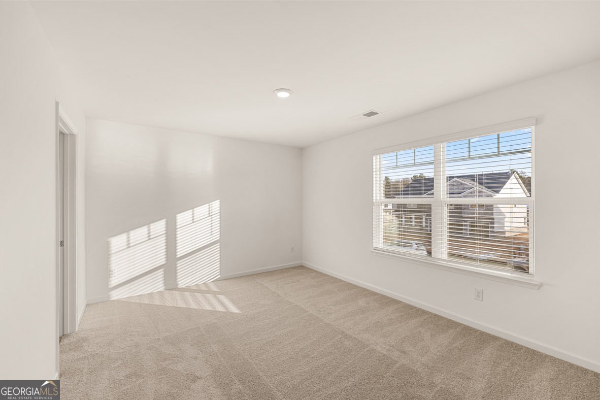 2897 Eucalyptus Road Loganville - Photo 48