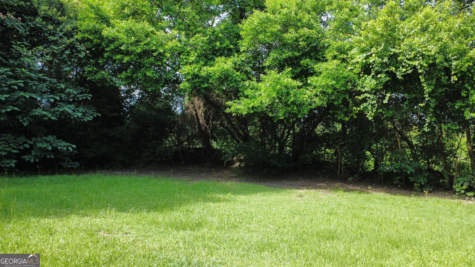 502 Kaigler Street Oglethorpe - Photo 29