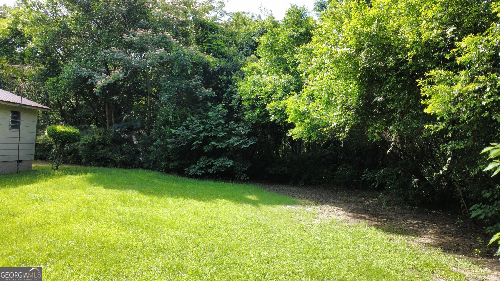 502 Kaigler Street Oglethorpe - Photo 30
