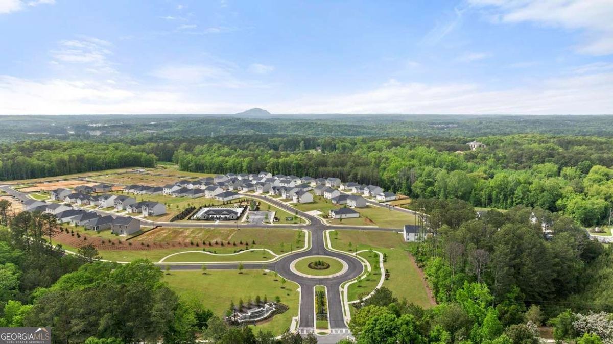 8565 Secretariat Drive Lithonia - Photo 28