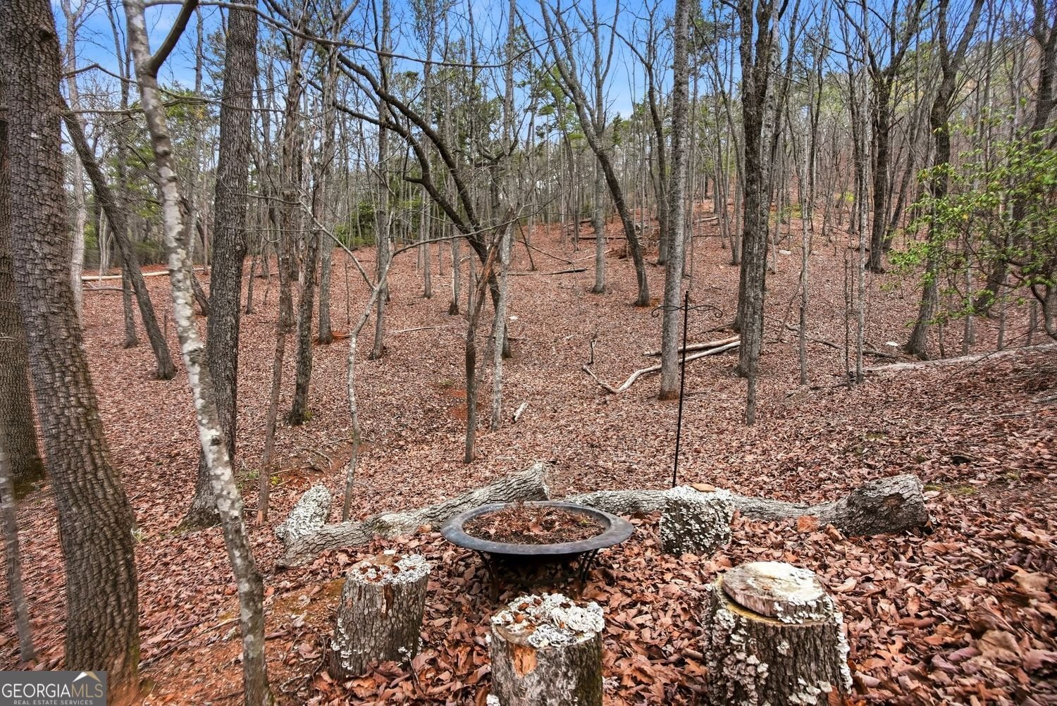 31 Wild Ginger Circle Jasper - Photo 45