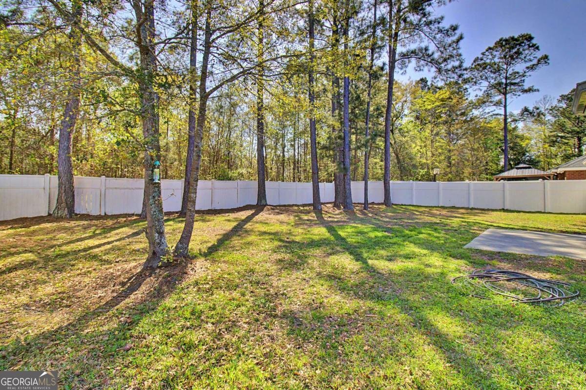 1271 Peacock Trail Hinesville - Photo 33