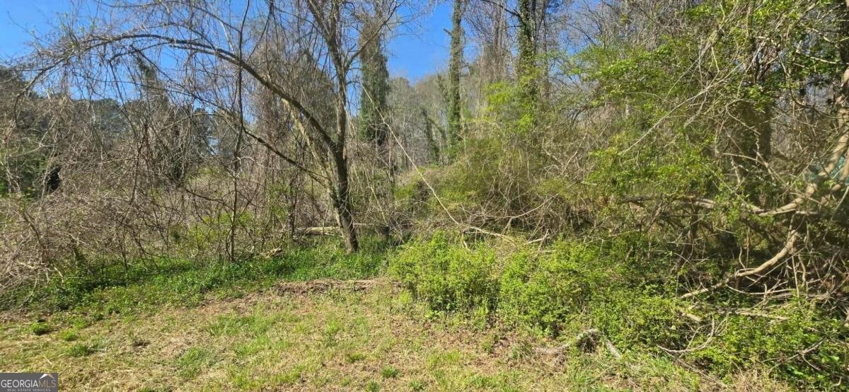 2700 Head Road Atlanta - Photo 9