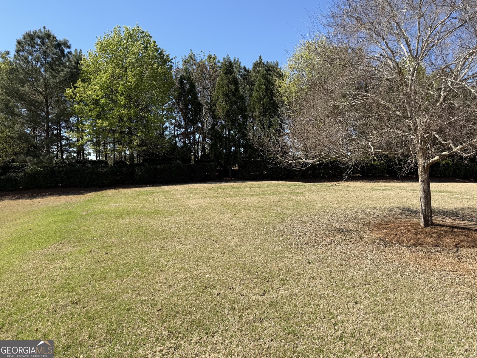 1320 Summer Hollow Road Greensboro - Photo 43